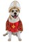 California Costume Collection Holy Hound Pet Dog Costume Medium